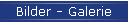 Bilder - Galerie